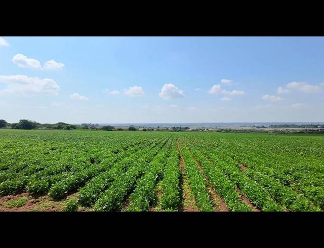 FARM FOR SALE IN VASFONTEIN